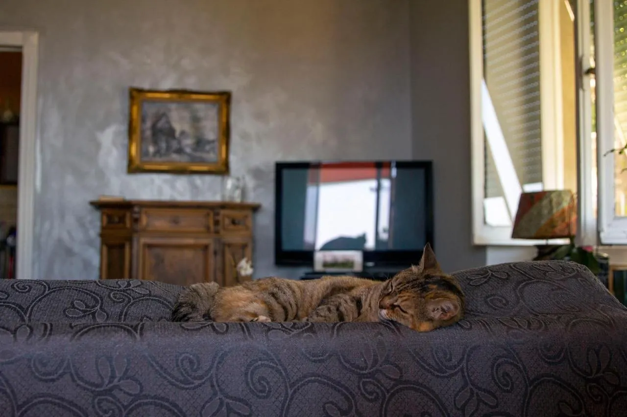 Bed & Breakfast Bed and Breakfast L'Andirivieni Camogli Italia